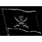 SKULL FLAG WITH BROADSWORDS OAKLAND RAIDER TYPE PIN